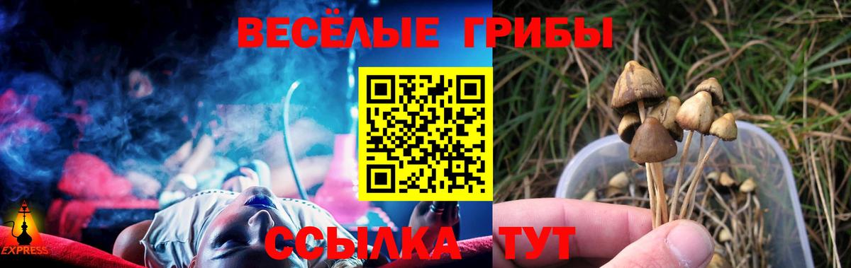 Омск  Галлюциногенные грибы Cubensis  Вход с VPN 